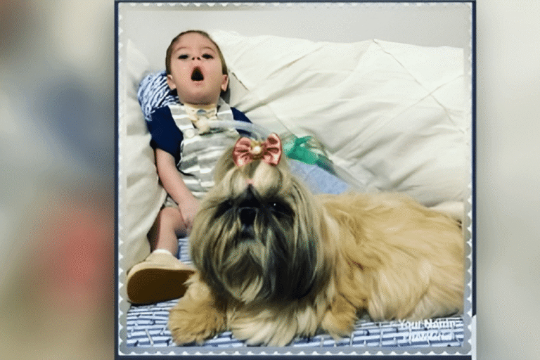 Bebê com doença congênita faz viagem de Londres a Goiânia com Brasil Vida]