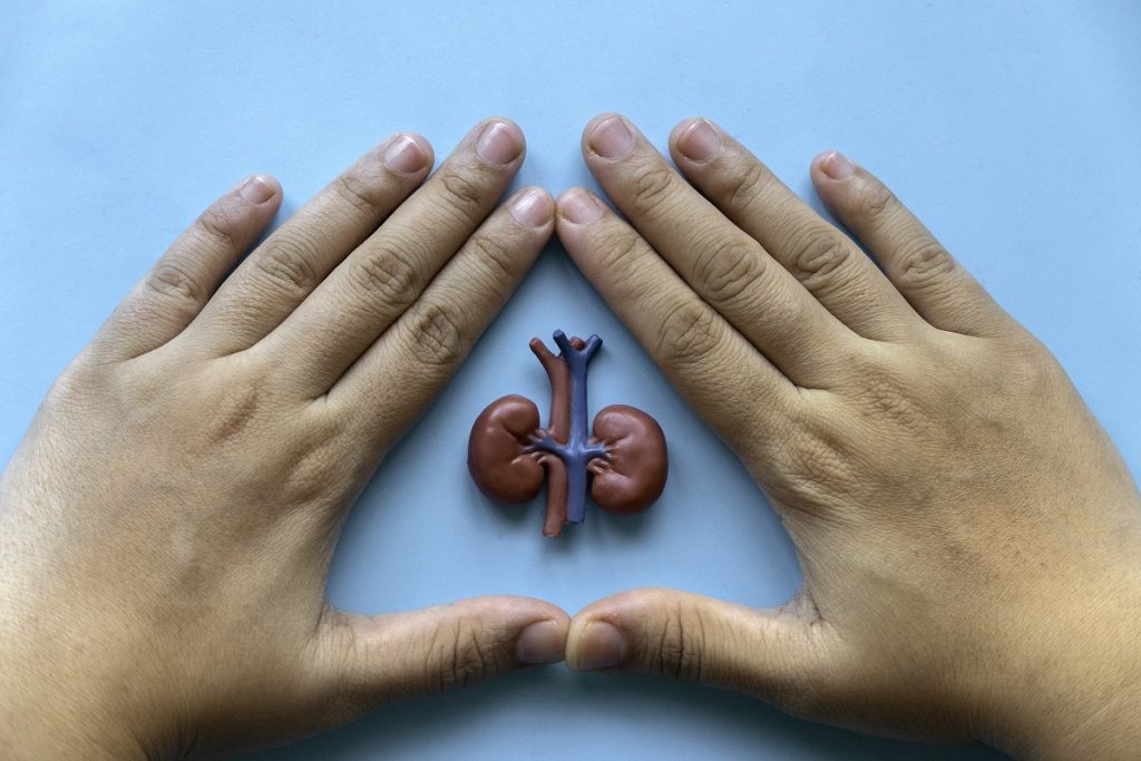 Transporte de Órgãos: Uma questão de vida ou morte